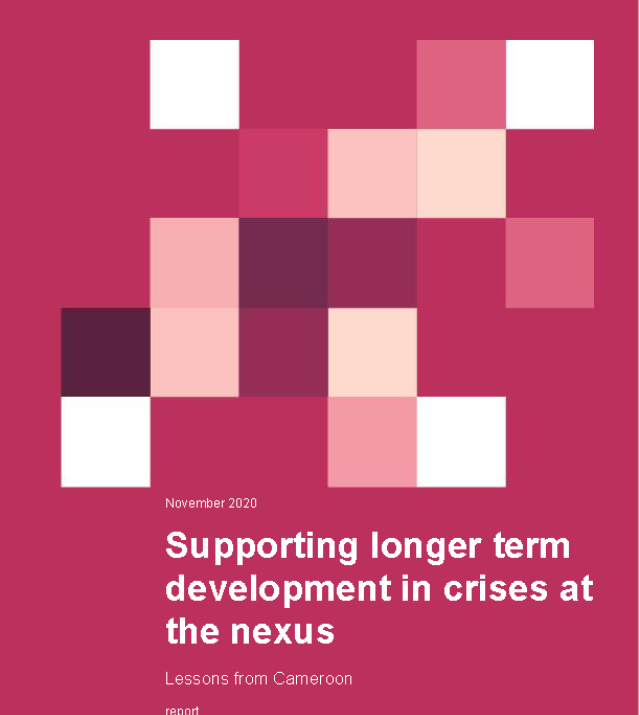 Cover page for Supporting Longer Term Development in Crises at the Nexus