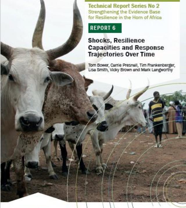 Download Resource: Shocks, Resilience Capacities and Response Trajectories Over Time