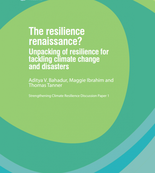 Download Resource: The Resilience Renaissance? Unpacking of Resilience for Tackling Climate Change and Disasters
