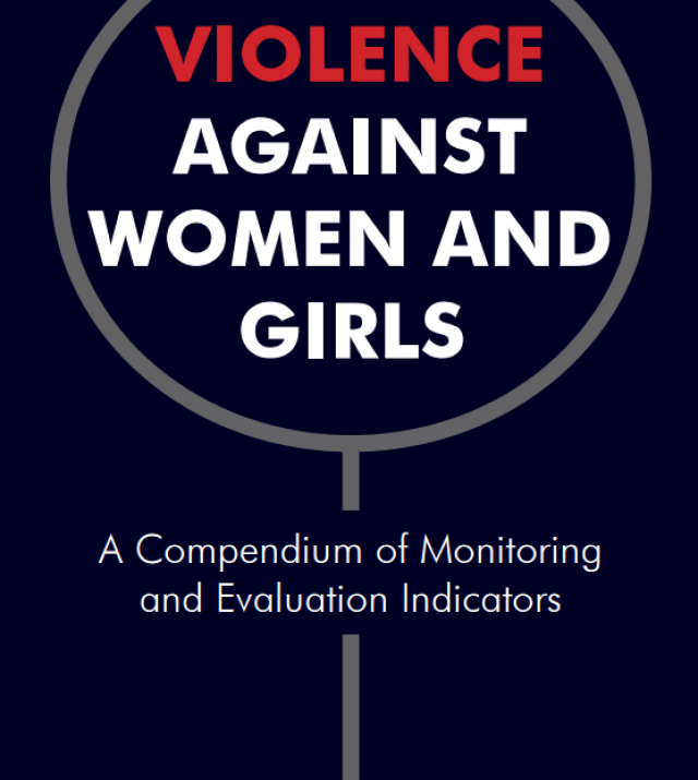 Download Resource: Violence Against Women and Girls: A Compendium of Monitoring and Evaluation Indicators 