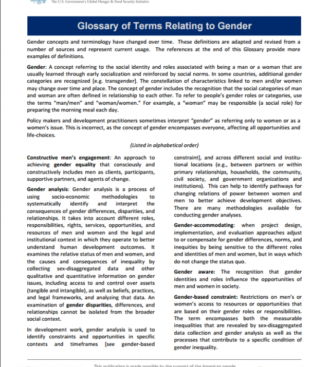 Download Resource: INGENAES Gender Glossary
