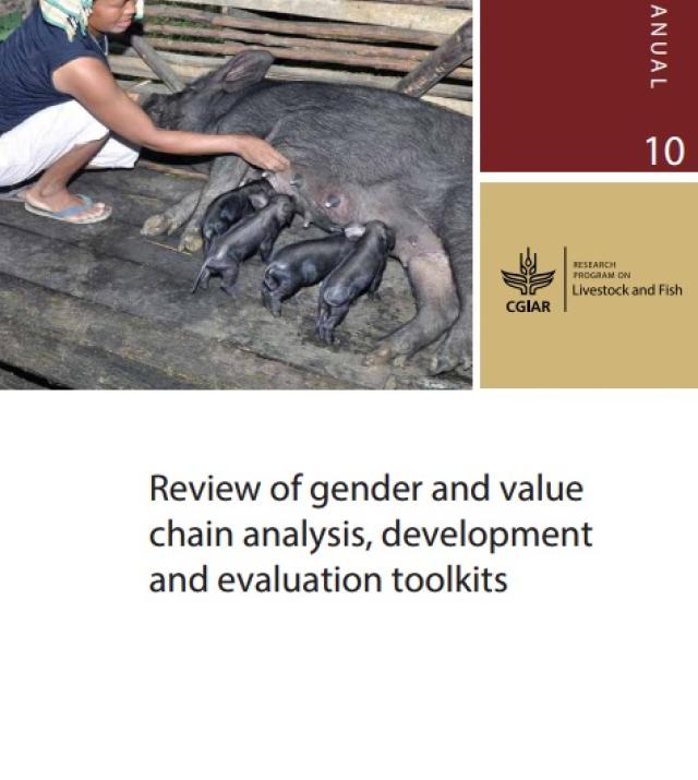 Download Resource: Review of Gender and Value Chain Analysis, Development and Evaluation Toolkits