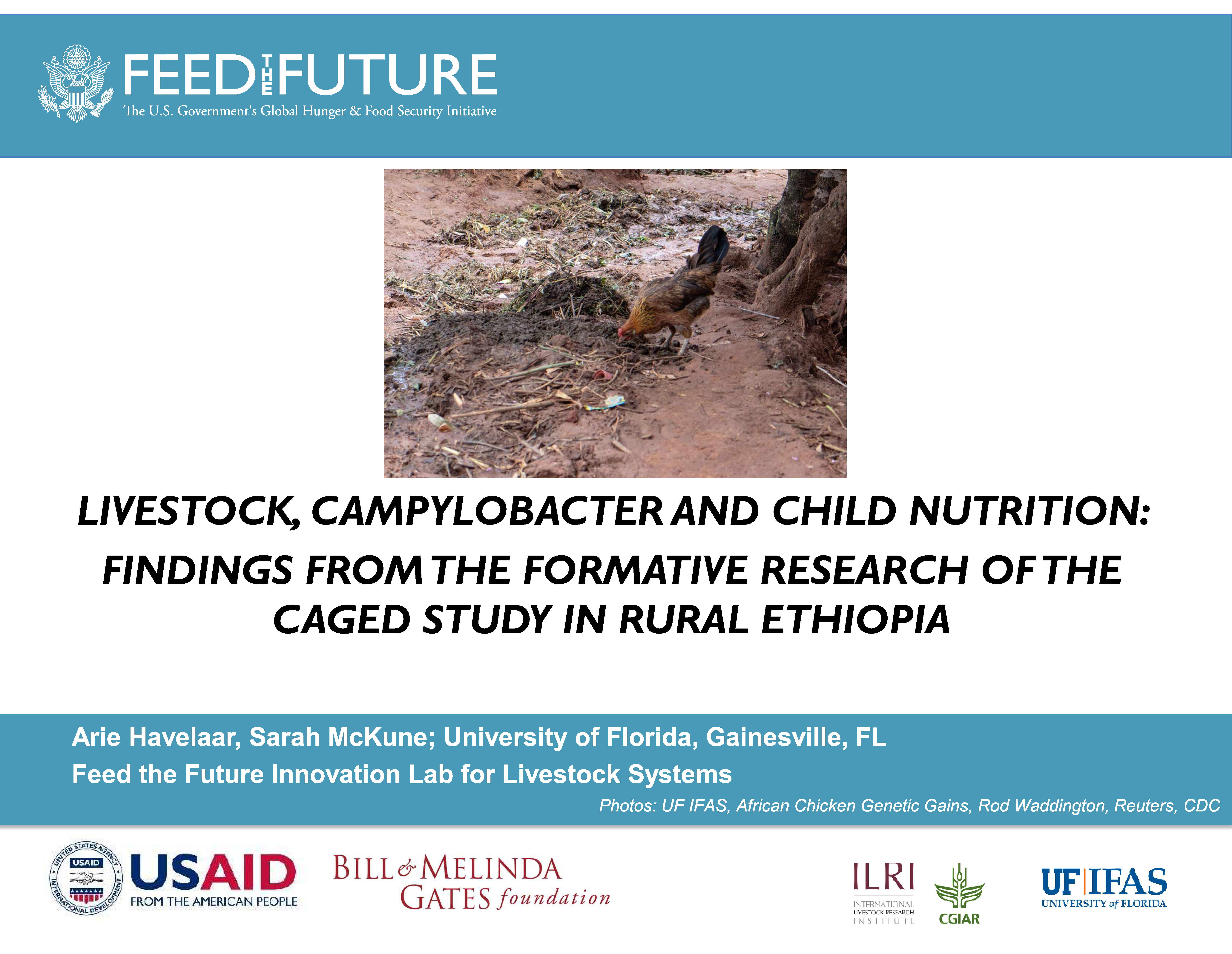 The cover slide of the presentation. It has a photo of a chicken in the center. Up top is the Feed the Future logo. Underneath is the title of the presentation and the autors.
