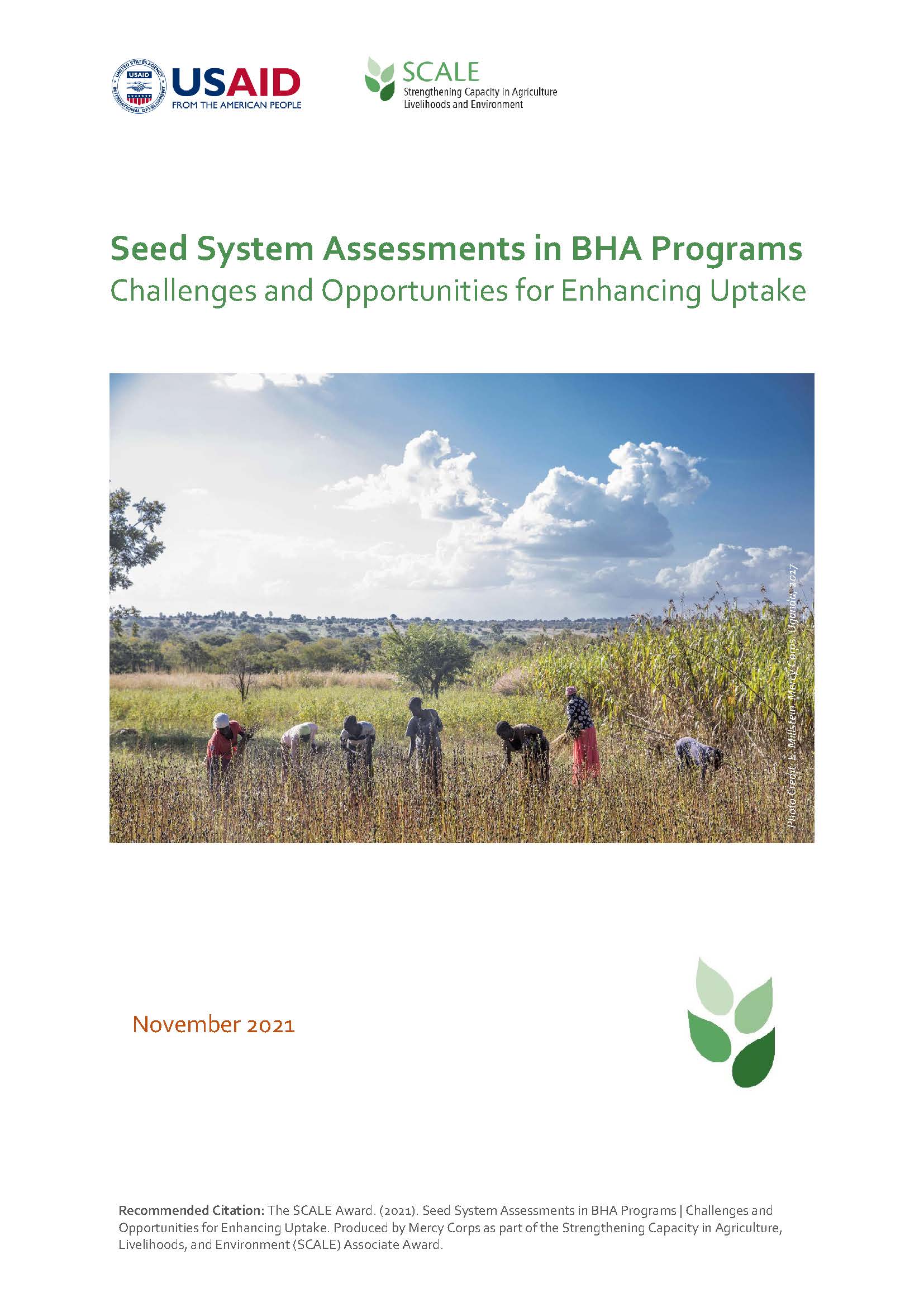 Seed Systems Assessments in BHA Programs Thumbnail