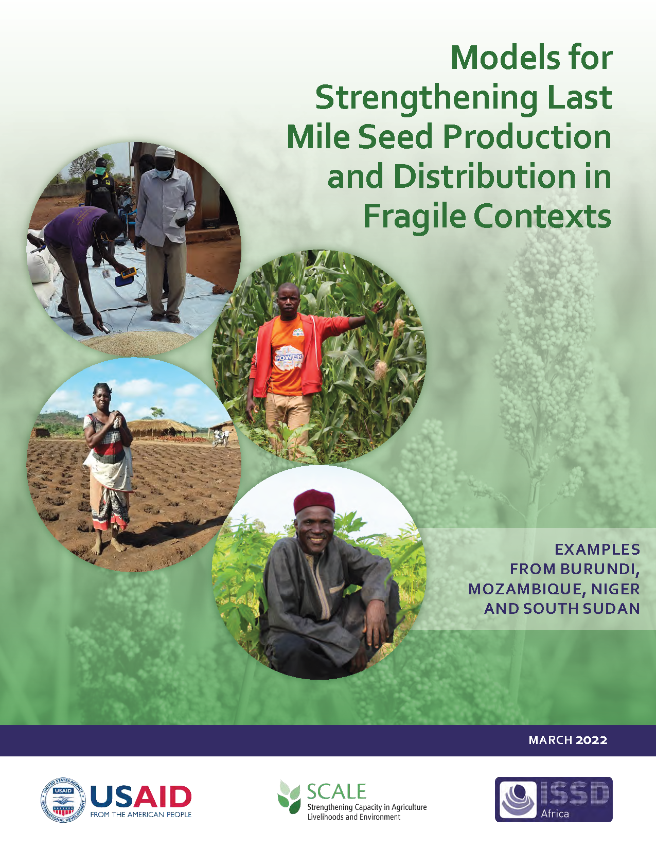 Cover page for Models for Strengthening Last Mile Seed Production and Distribution in Fragile Contexts