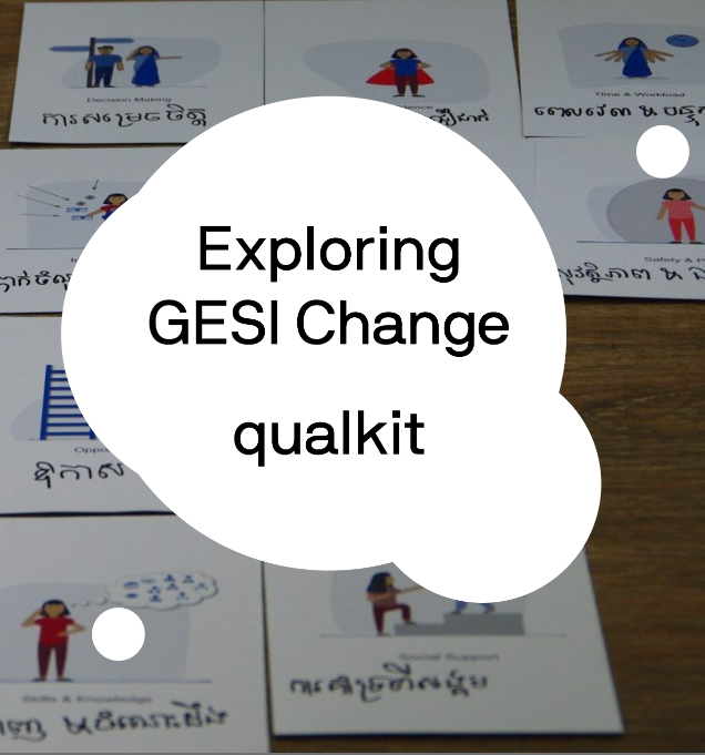 Screenshot of website homepage with the text: Exploring GESI Change Qualkit