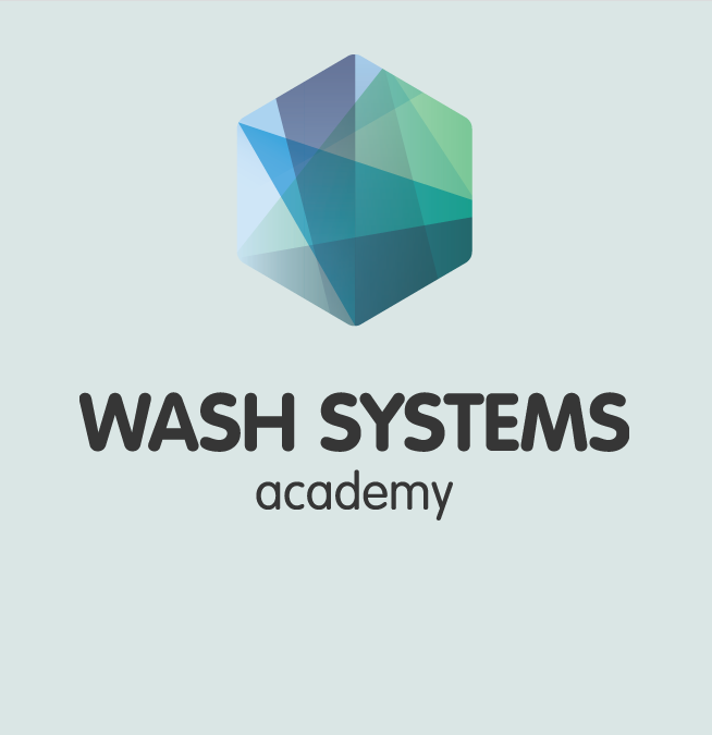 Screenshot of WASH Systems Academy logo