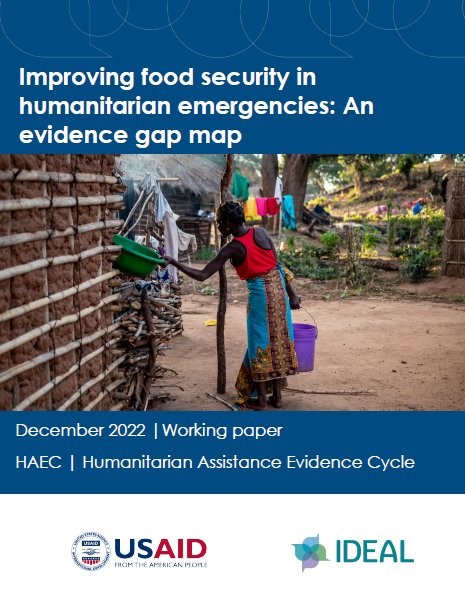 Cover page that includes the USAID and IDEAL logos, the title of the report, and an image of a young woman standing with her back to the camera, holding a purple bucket in her right hand while she grabs a green basin with her left hand. She is standing outside in Mozambique. In the background are clothes hanging on a line next to a thatch-roofed building. 