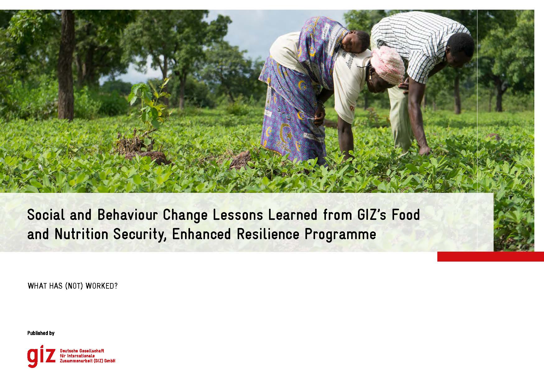 Page de couverture des leçons de changement social et comportemental tirées du programme de sécurité alimentaire et nutritionnelle de la GIZ, renforcement de la résilience