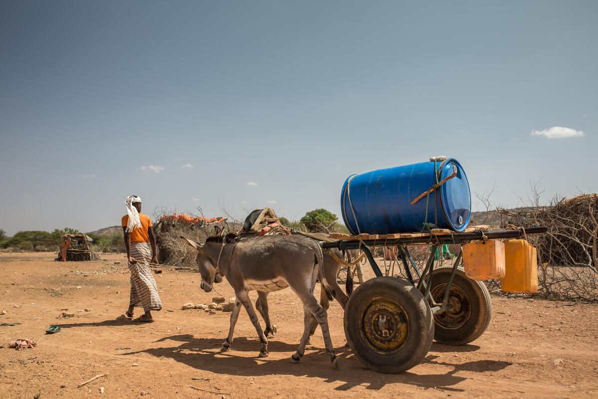 Une personne conduit deux ânes tirant une charrette sur laquelle se trouve un réservoir d’eau bleue.