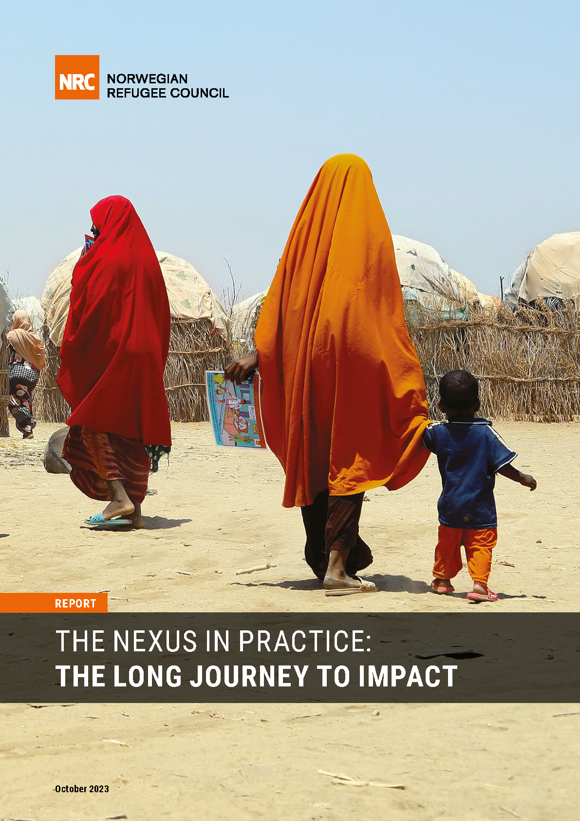 Cover page for The Nexus in Practice: The Long Journey to Impact