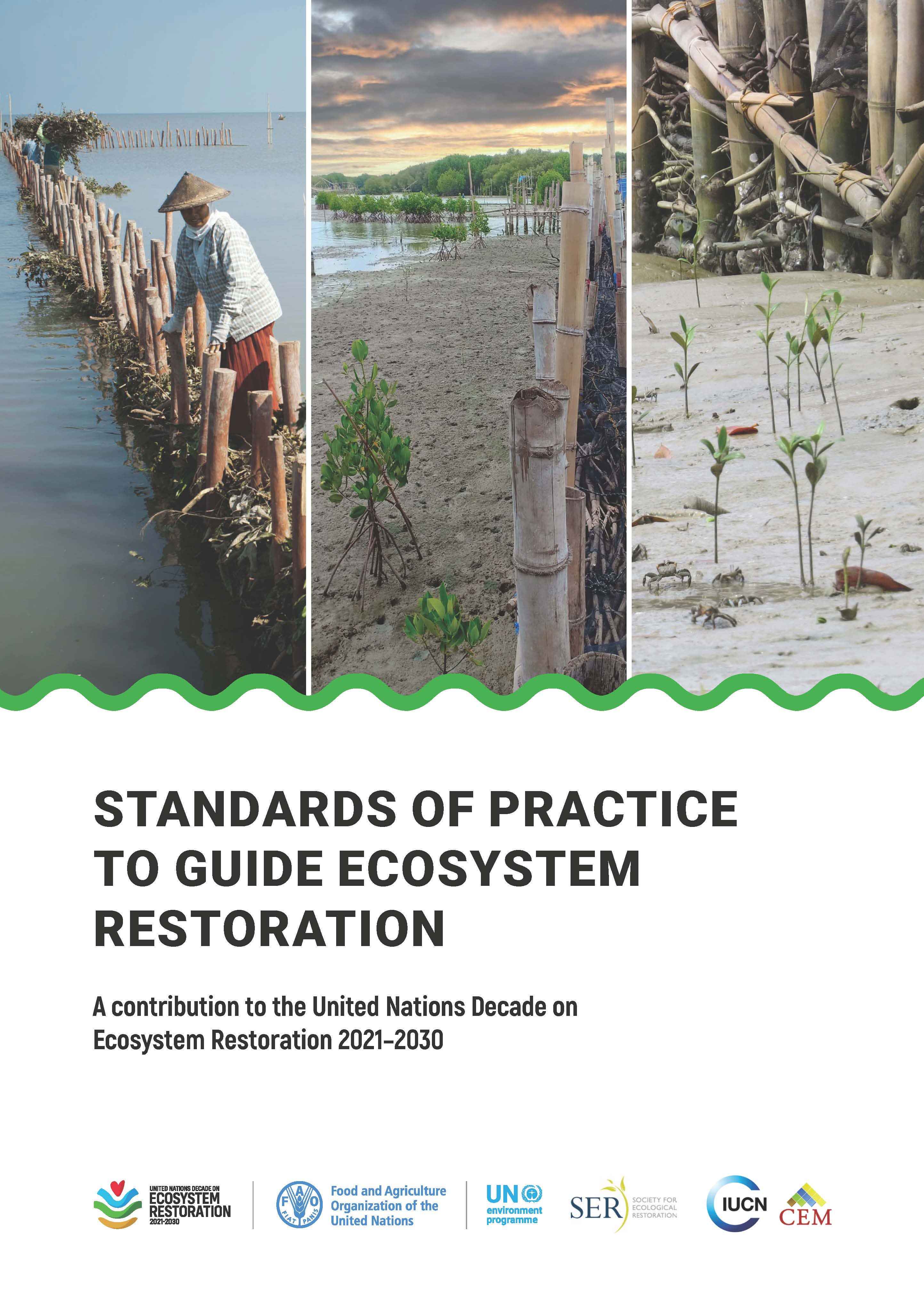 Normes de pratique pour guider la restauration des écosystèmes