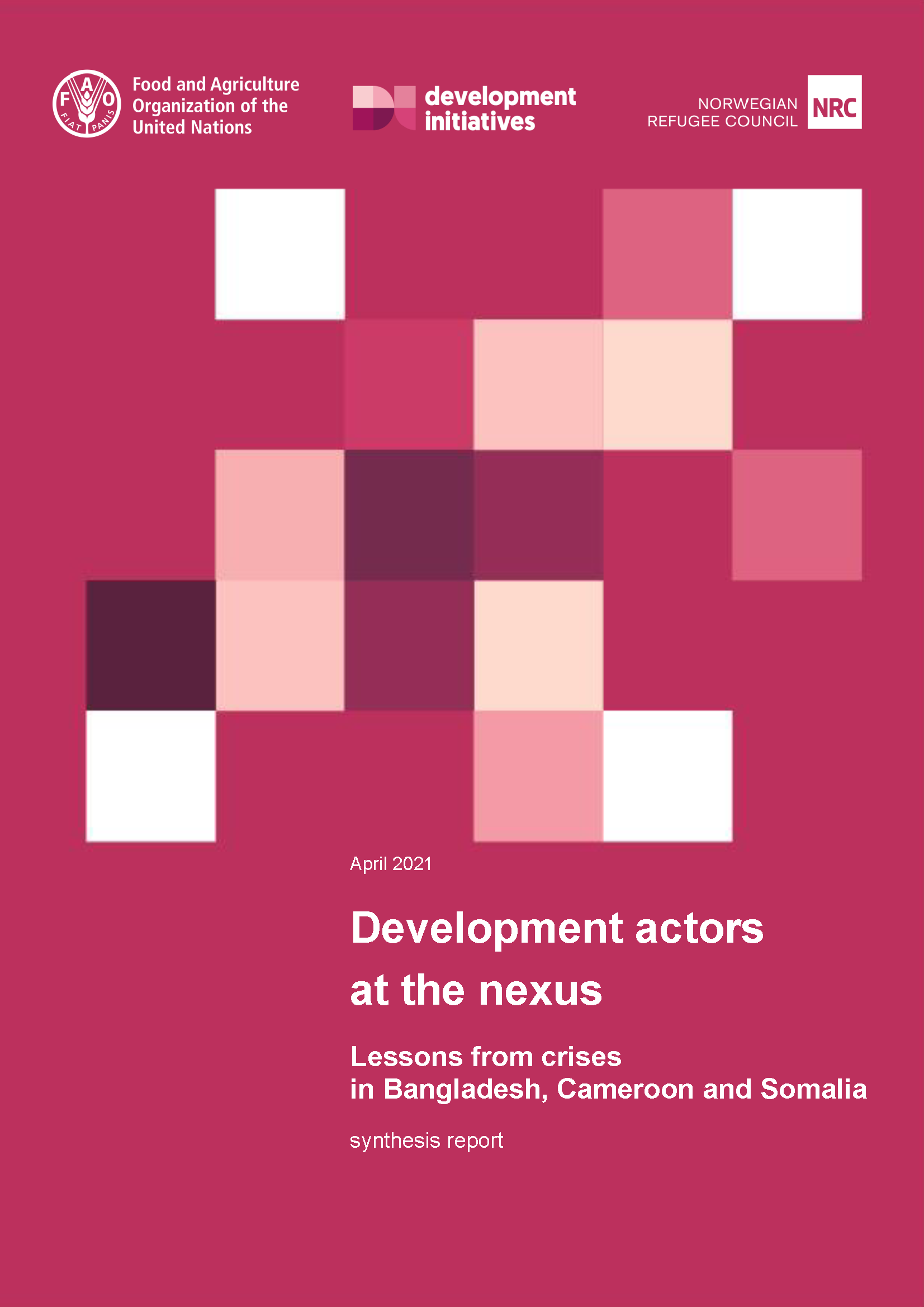 Cover page for Development Actors at the Nexus