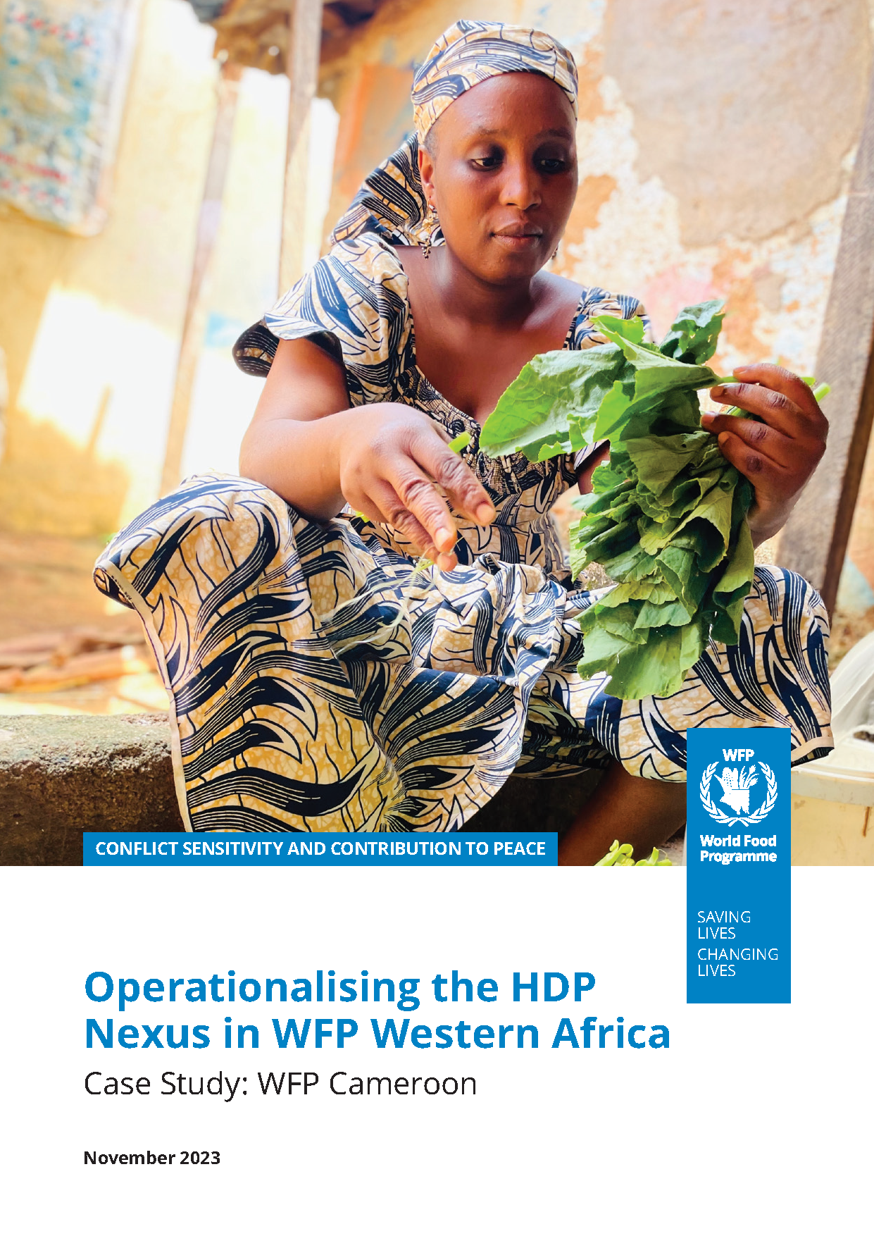 Cover page for Operationalizing the HDP Nexus in WFP Western Africa: Cameroon