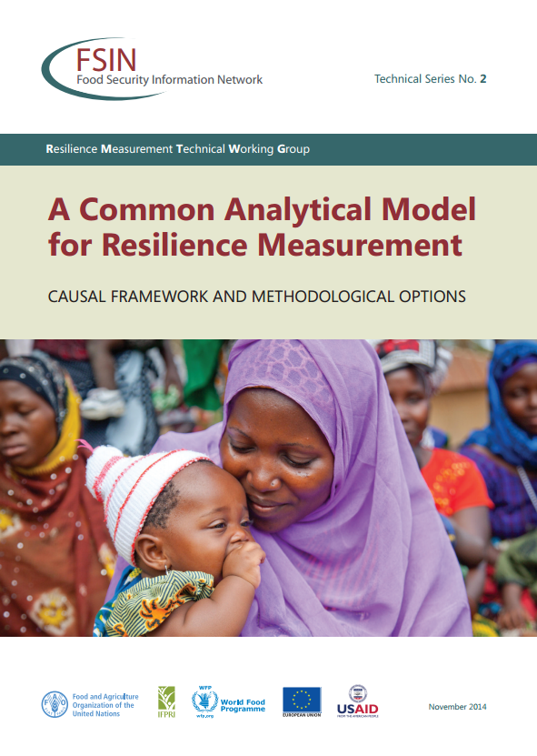 Download Resource: A Common Analytical Model for Resilience Measurement