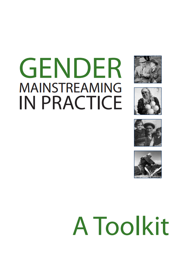 Download Resource: Gender Mainstreaming In Practice: A Toolkit 