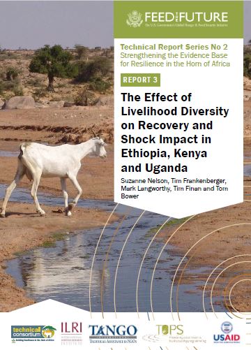 Télécharger la ressource : L'effet de la diversité des moyens de subsistance sur le rétablissement et l'impact des chocs en Éthiopie, au Kenya et en Ouganda