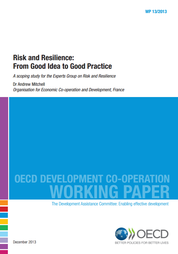 Download Resource: Risk and Resilience: From Good Idea to Good Practice