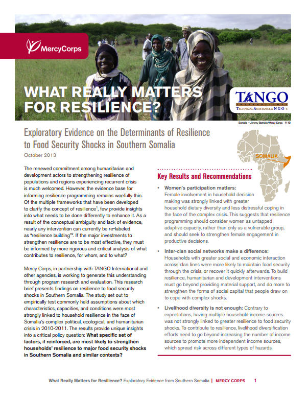 Télécharger la ressource : Qu'est-ce qui compte vraiment pour la résilience ? Preuves exploratoires sur les déterminants de la résilience aux chocs de sécurité alimentaire dans le sud de la Somalie