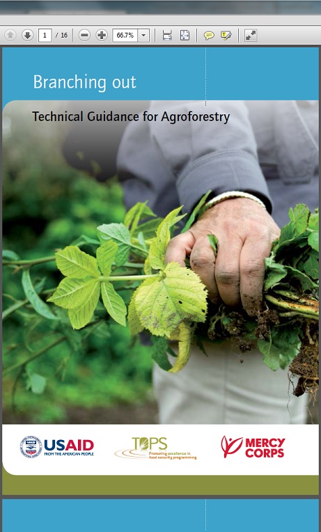 Télécharger la ressource : Branching Out: Technical Guidance for Agroforestry