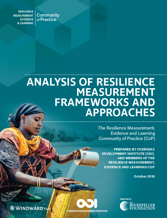 Télécharger la ressource : Analyse des cadres et des approches de mesure de la résilience