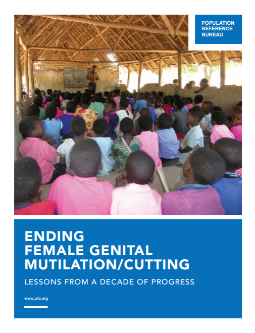 Télécharger la ressource : Mettre fin aux mutilations génitales féminines/excision : leçons d'une décennie de progrès