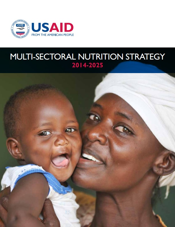 Download Resource: USAID Multi-Sectoral Nutrition Strategy