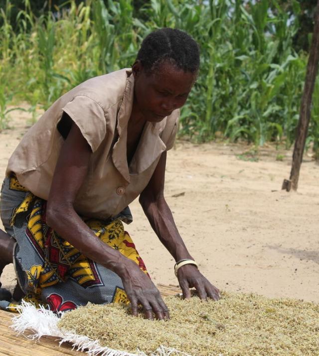 photo of woman farming