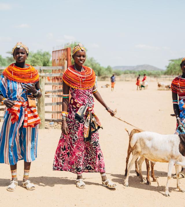 Women walking with goats