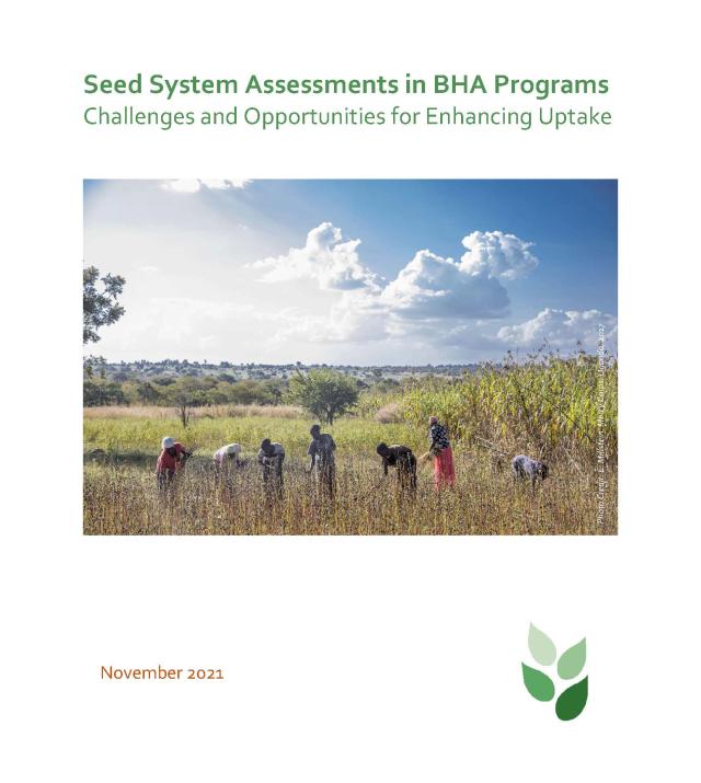 Seed Systems Assessments in BHA Programs Thumbnail