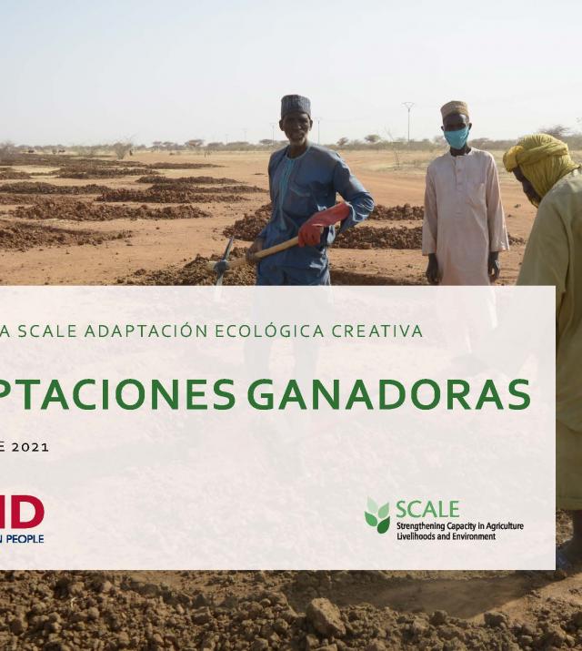 Premio a la SCALE Adaptación Ecológica Creativa Adaptaciones Ganadoras página de portada
