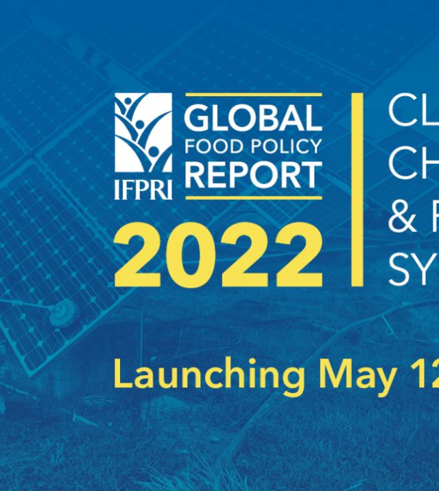 Promo graphic for  Global Launch for Food Policy Report: Climate change & food systems
