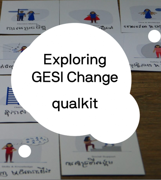 Screenshot of website homepage with the text: Exploring GESI Change Qualkit