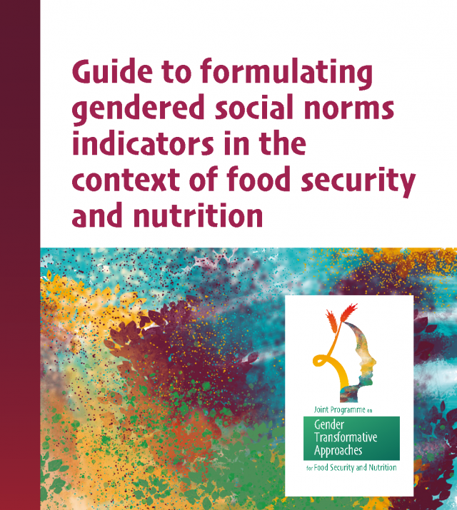 Cover page for Guide to Formulating Gendered Social Norms Indicators in the Context of Food Security and Nutrition