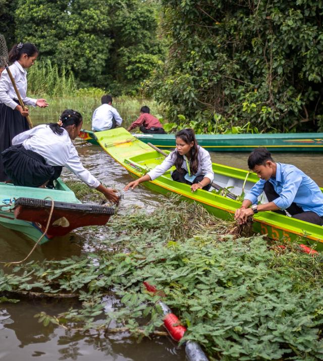 Young people harvesting plants from a floating garden in Cambodia.