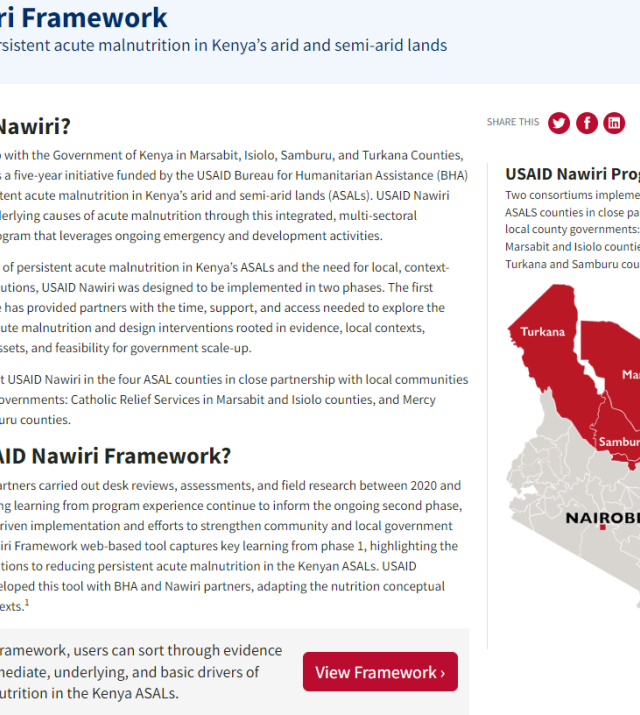 Screenshot of the USAID Nawiri Framework