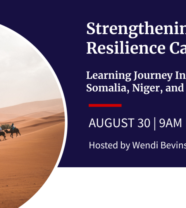 Promotional graphic for Strengthening Resilience Capacities: Learning Journey Insights from Somalia, Niger, and Burkina Faso