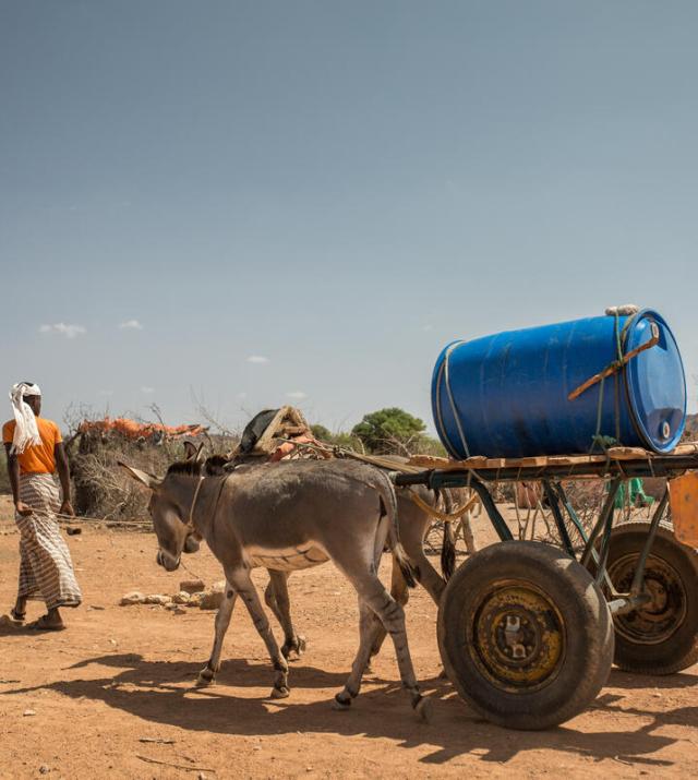 A person leads two donkeys pulling a cart with a blue water tank on it.