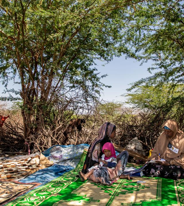 Deux femmes et un petit enfant sont assis sur un tapis vert sous des arbres en Somalie.