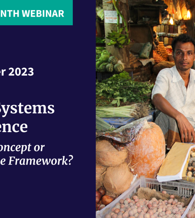 Promotional graphic for Food System Resilience: Elusive Concept or Actionable Framework? featuring a man sitting at his food stall displaying his goods.