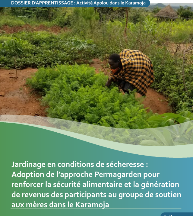 Cover page for Jardinage en conditions de sécheresse  Adoption de l’approche Permagarden pour renforcer la sécurité alimentaire et la génération de revenus des participants au groupe de soutien aux mères dans le Karamoja