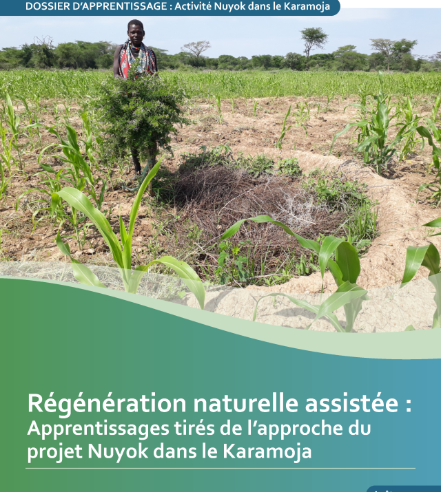 Cover page for Régénération naturelle assistée : Apprentissages tirés de l’approche du projet Nuyok dans le Karamoja