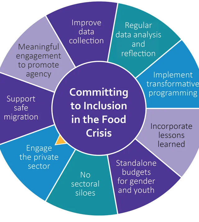 A graphic illustration of Committing to Inclusion in the Food Crisis, as a wheel. In the center of the wheel is "Committing to Inclusion in the Food Crisis". Clockwise from the top: Improve data collection; regular data analysis and reflection; implement transformative programming; incorporative programming; incorporate lessons learned; standalone budgets for gender and youth; no sectoral siloes; engage the private sector; support safe migration; meaningful engagement to promote agency.