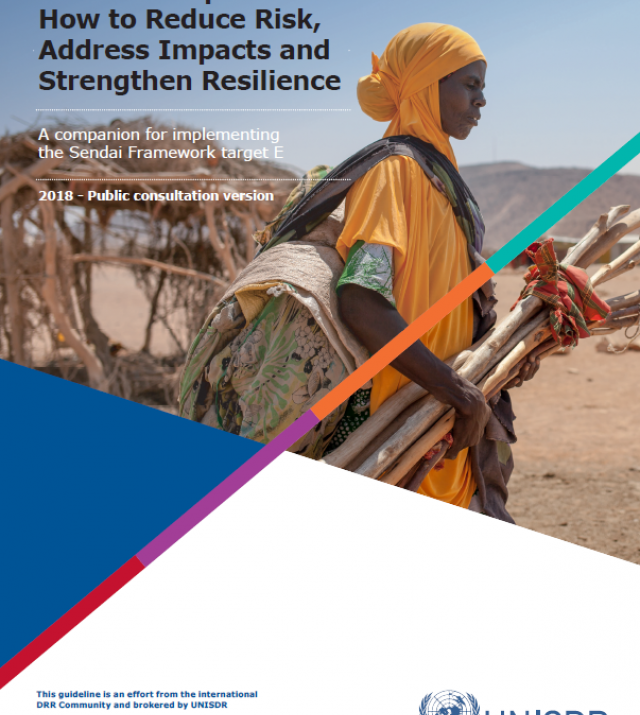 Download Resource: Disaster Displacement: How to Reduce Risk, Address Impacts and Strengthen Resilience