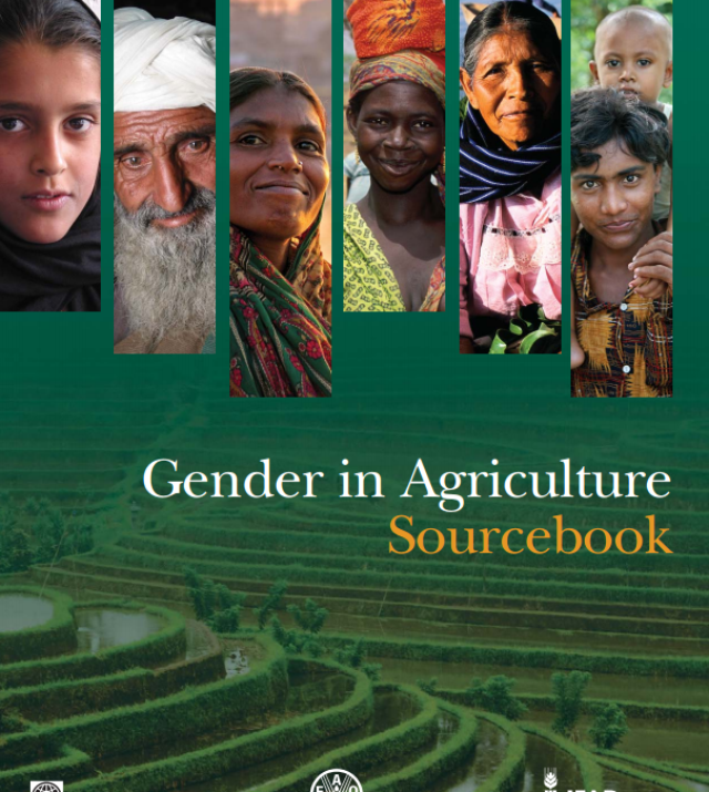 Télécharger la ressource : Livre de référence sur le genre dans l'agriculture