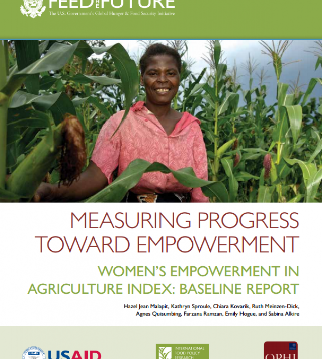 Download Resource: Measuring Progress toward Empowerment