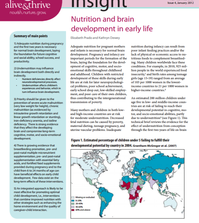 Download Resource: Insight: Nutrition and Brain Development in Early Life