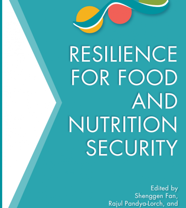 Download Resource: Resilience for Food and Nutrition Security