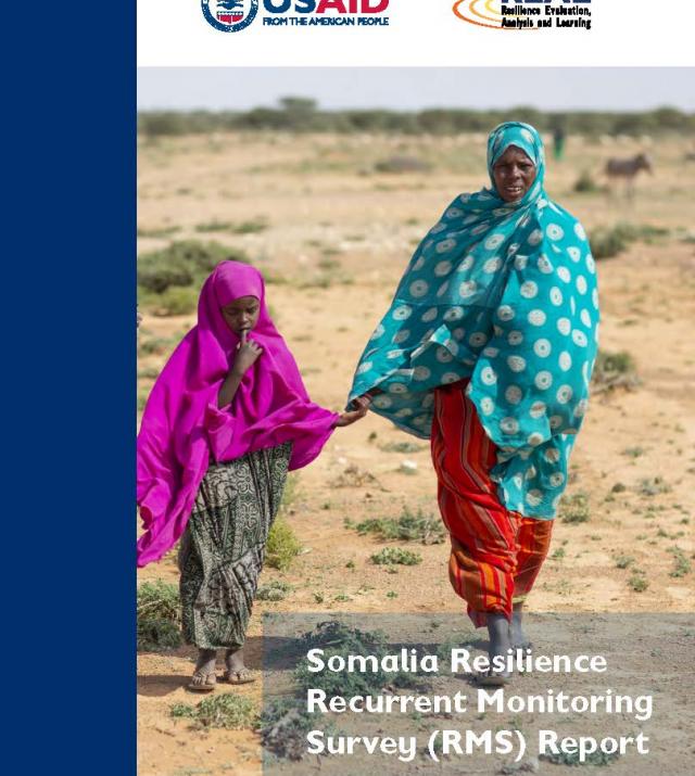 Somalia Resilience Recurrent Monitoring Survey (RMS) Report thumbnail