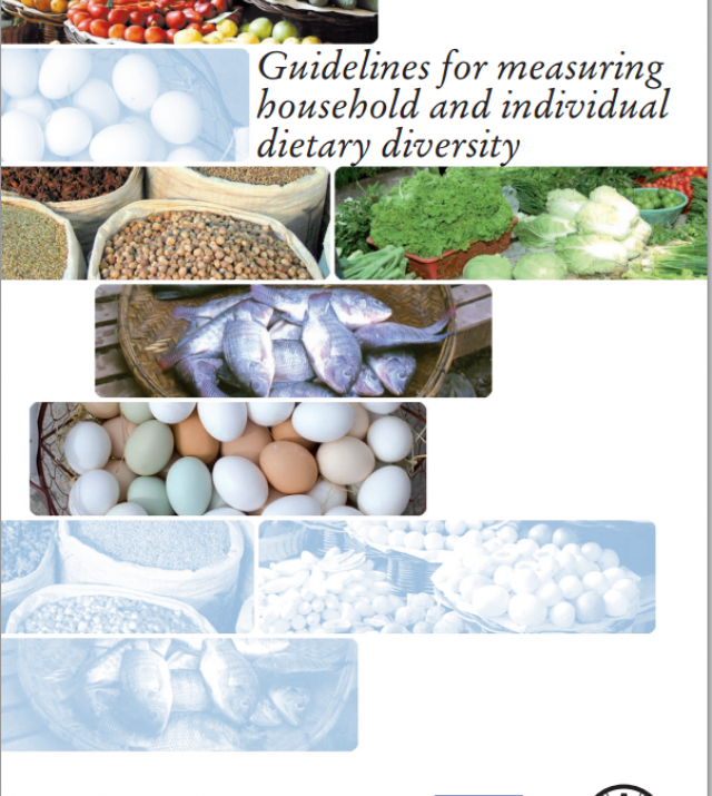 Download Resource: Guidelines for Measuring Household and Individual Dietary Diversity